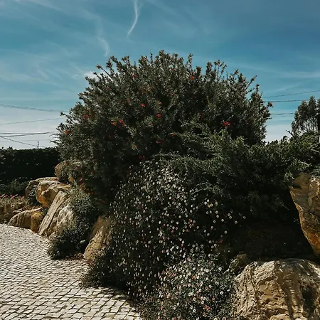 Refúgio Da Rainha Bed and breakfast Moledo (Lisbon)