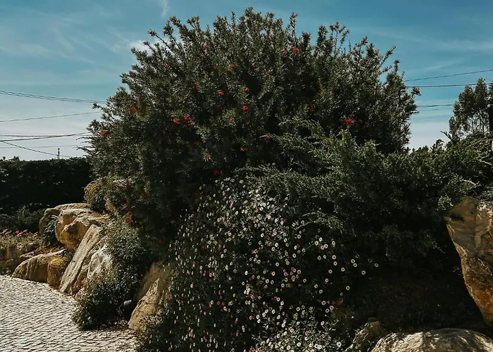 Refugio Da Rainha Bed & Breakfast Moledo (Lisbon)